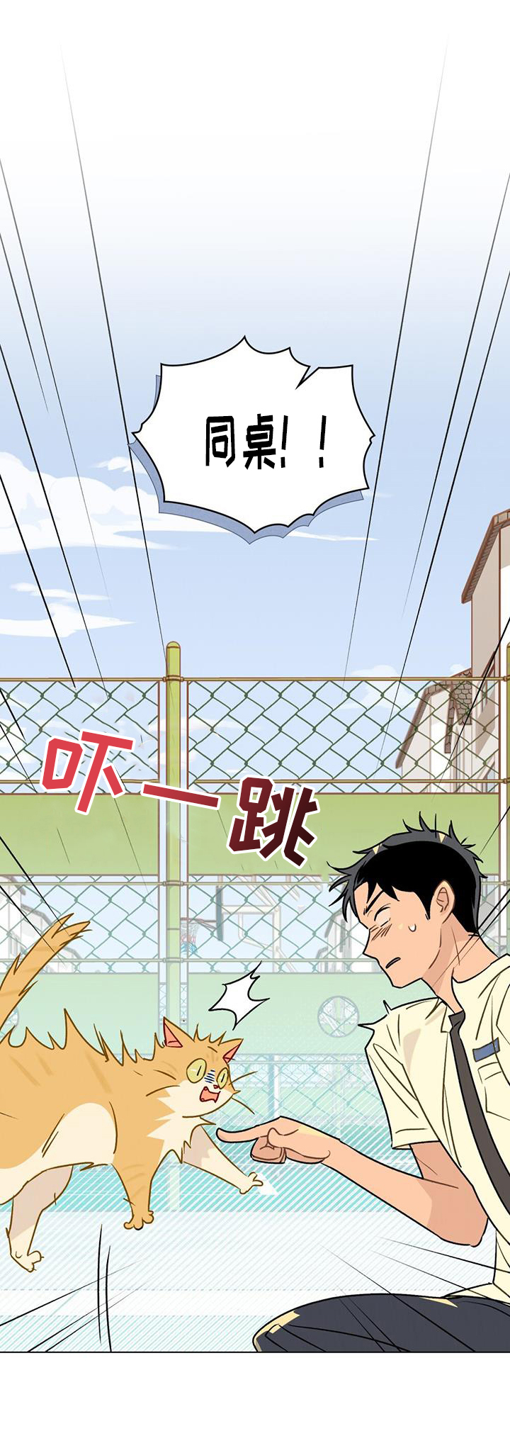 告白前夕第27话图