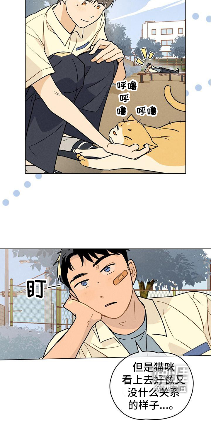 告白前夕第5话图