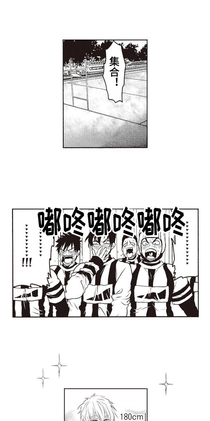 橄榄球团宠第7话图