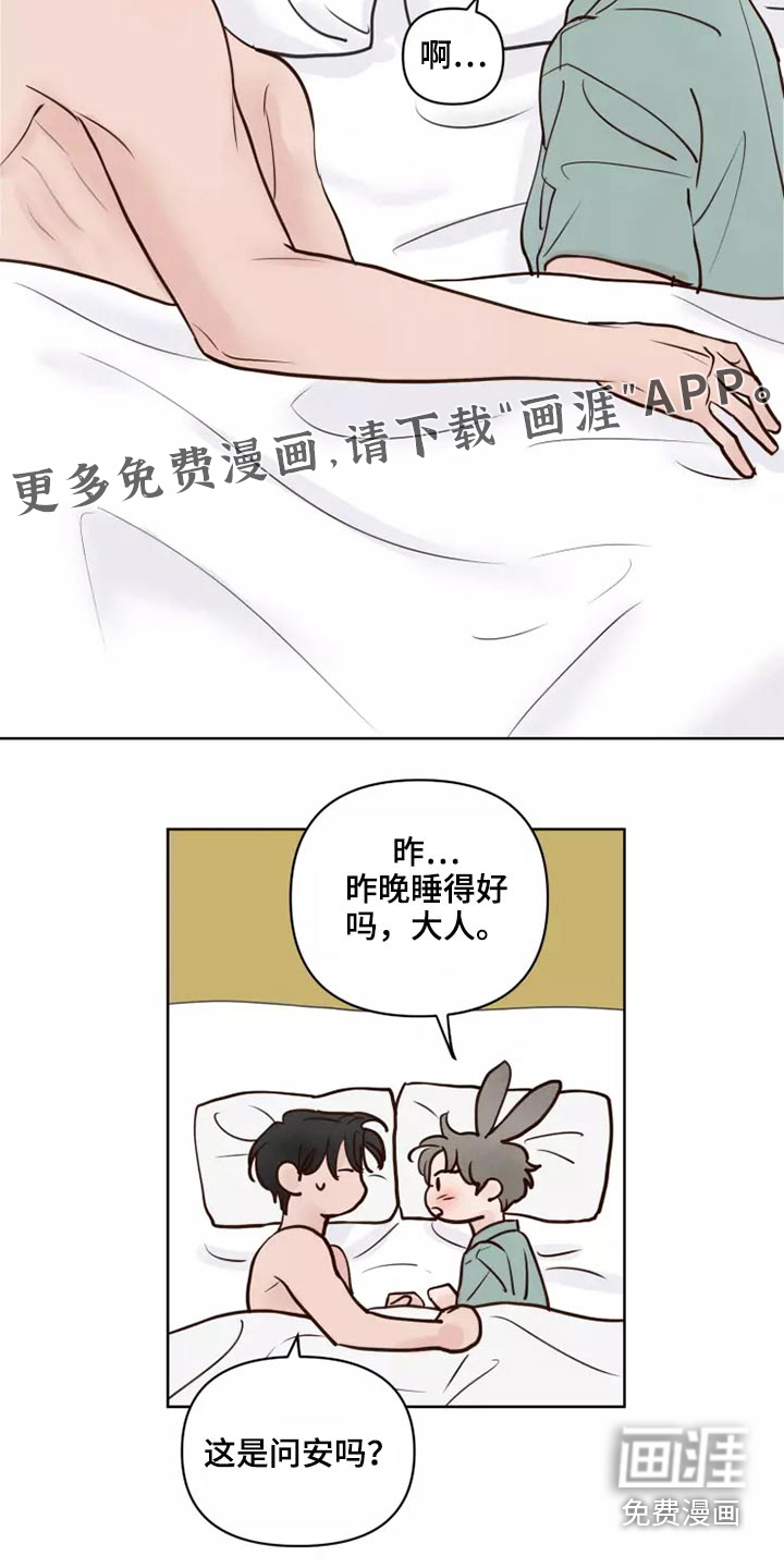 龟兔同行第50话图