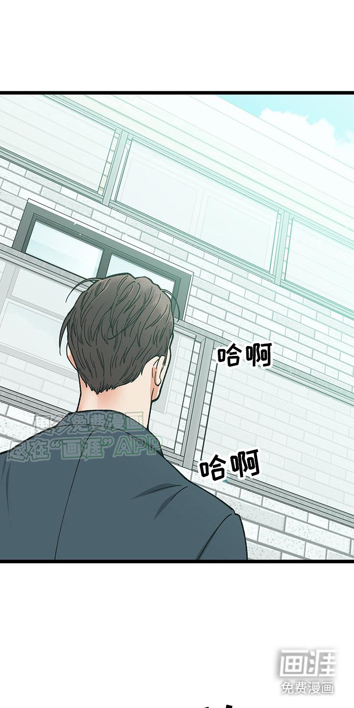 告白采访第13话图