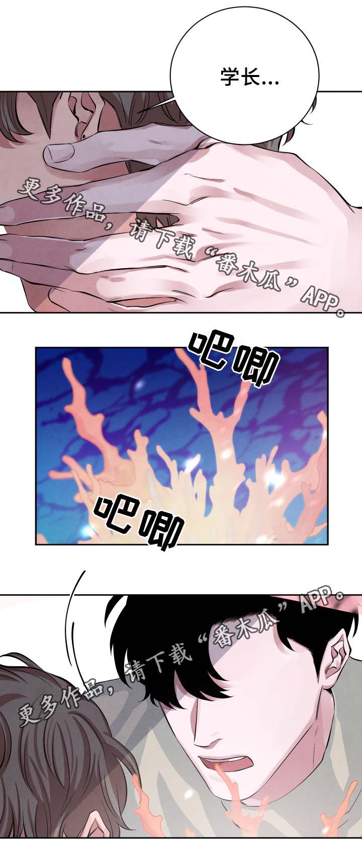 感官味道第28话图