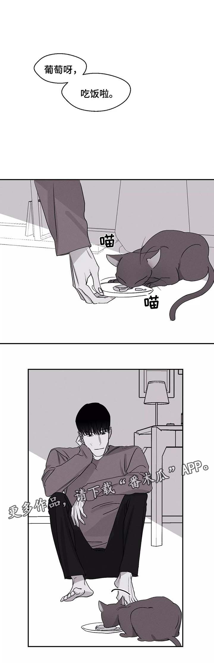 归来重逢第40话图