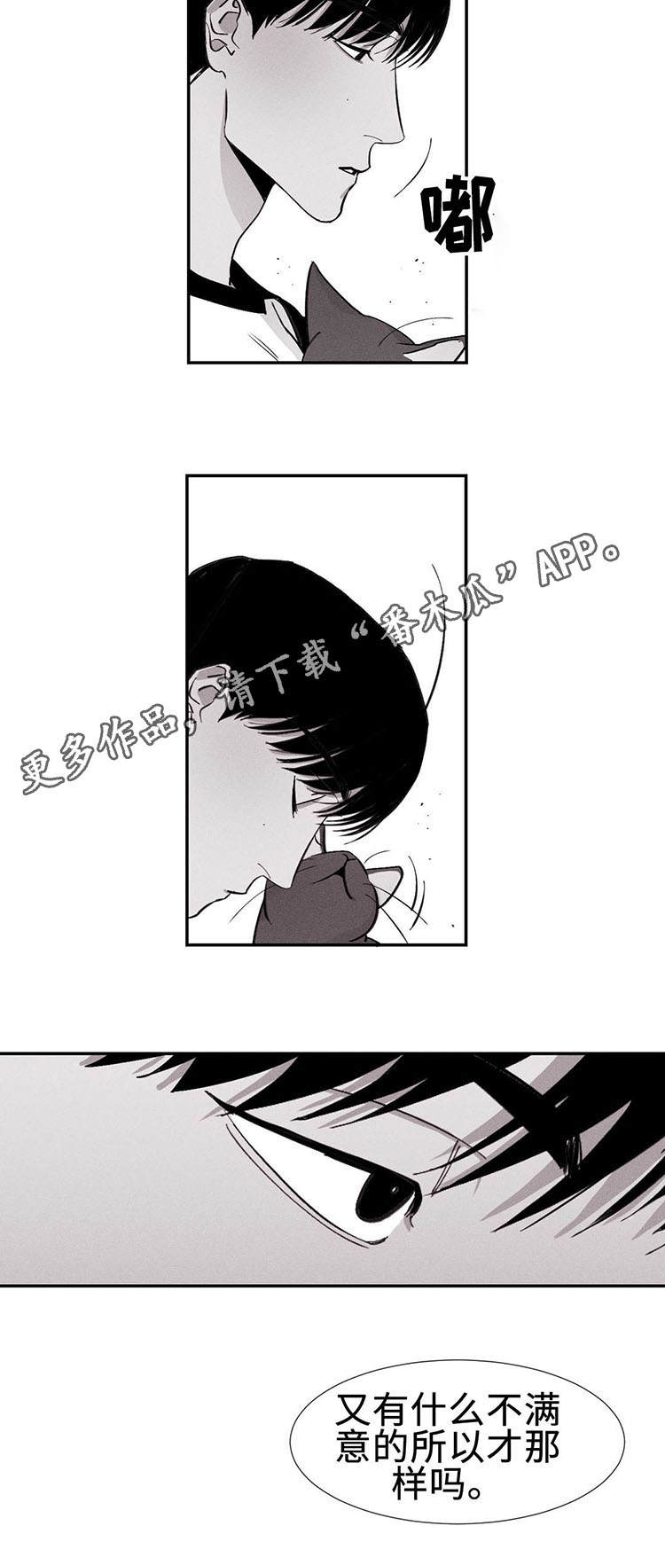 归来重逢第5话图