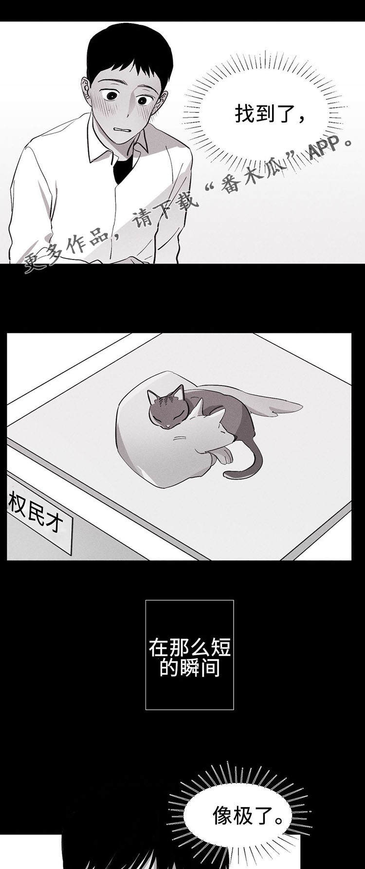 归来重逢漫画-图11