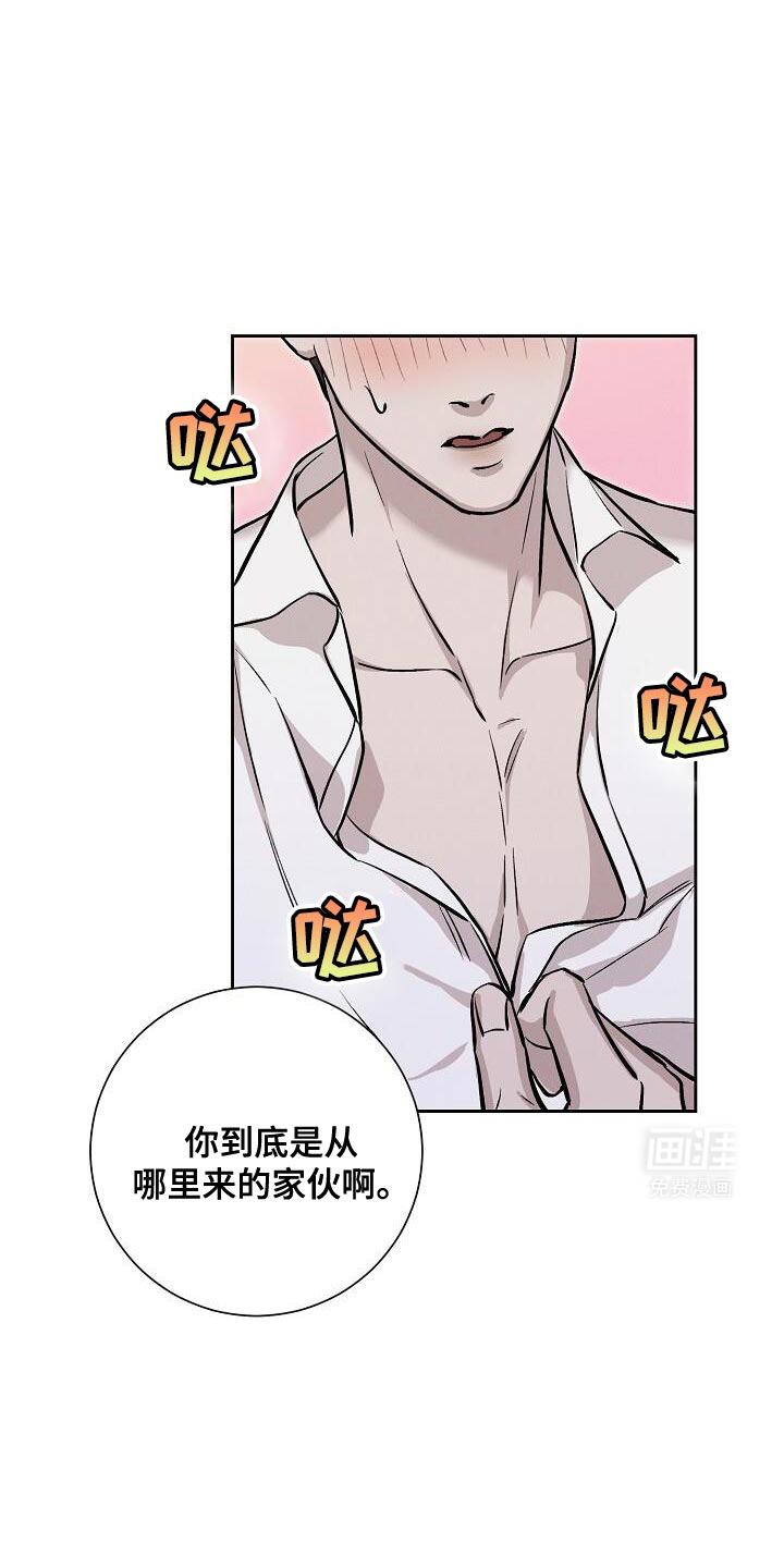 割裂的谎言第47话图