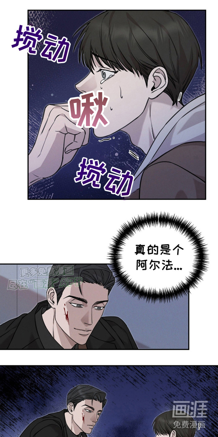 割裂的谎言第9话图