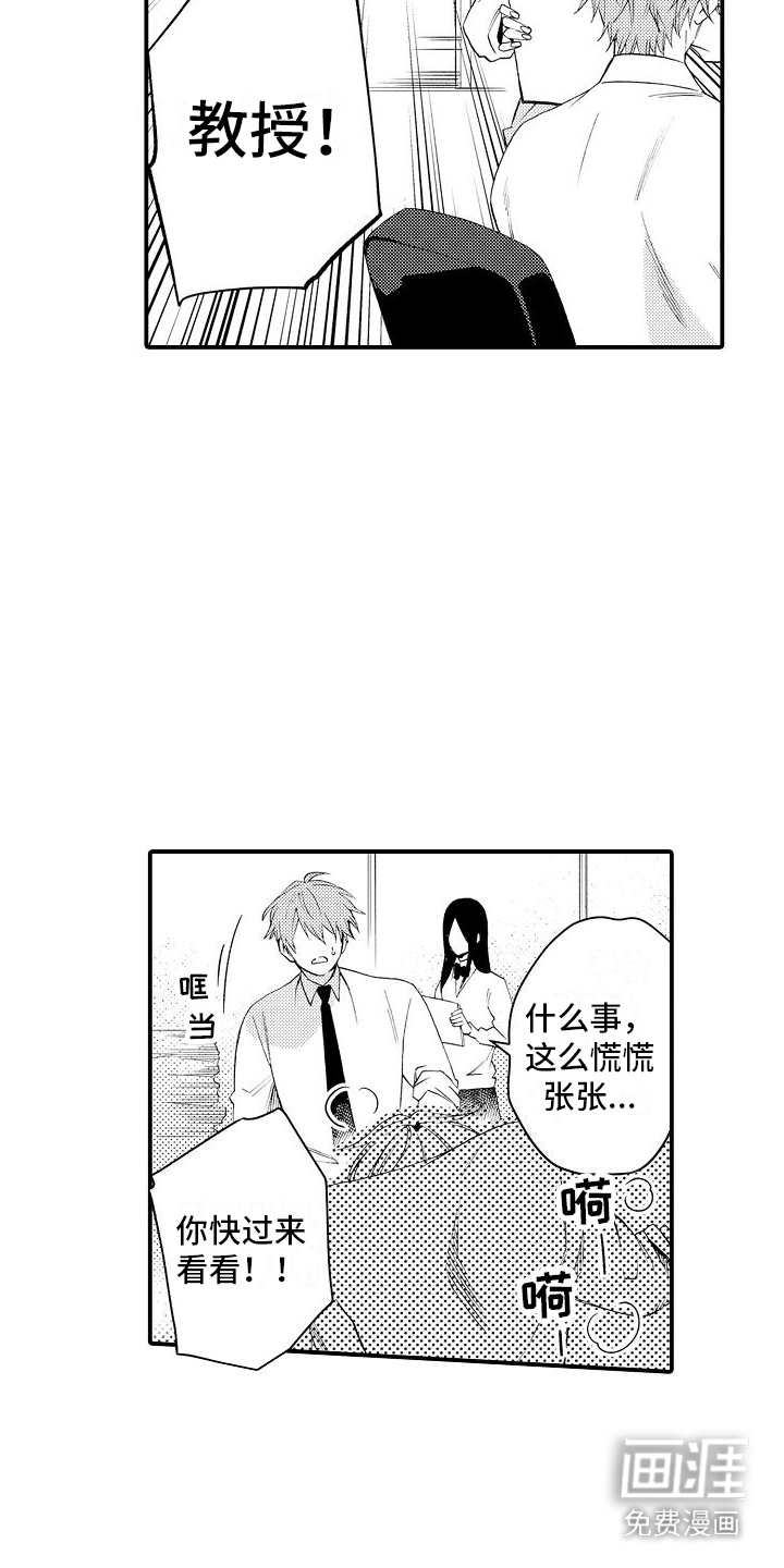 感觉自己要疯了第12话图