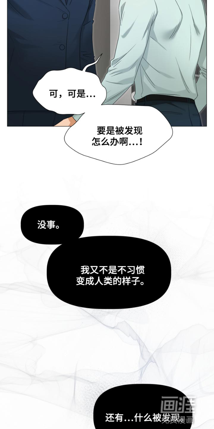 供养誓约第20话图