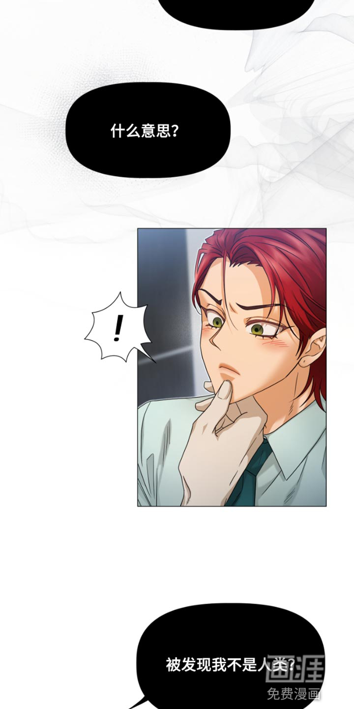 供养誓约第20话图