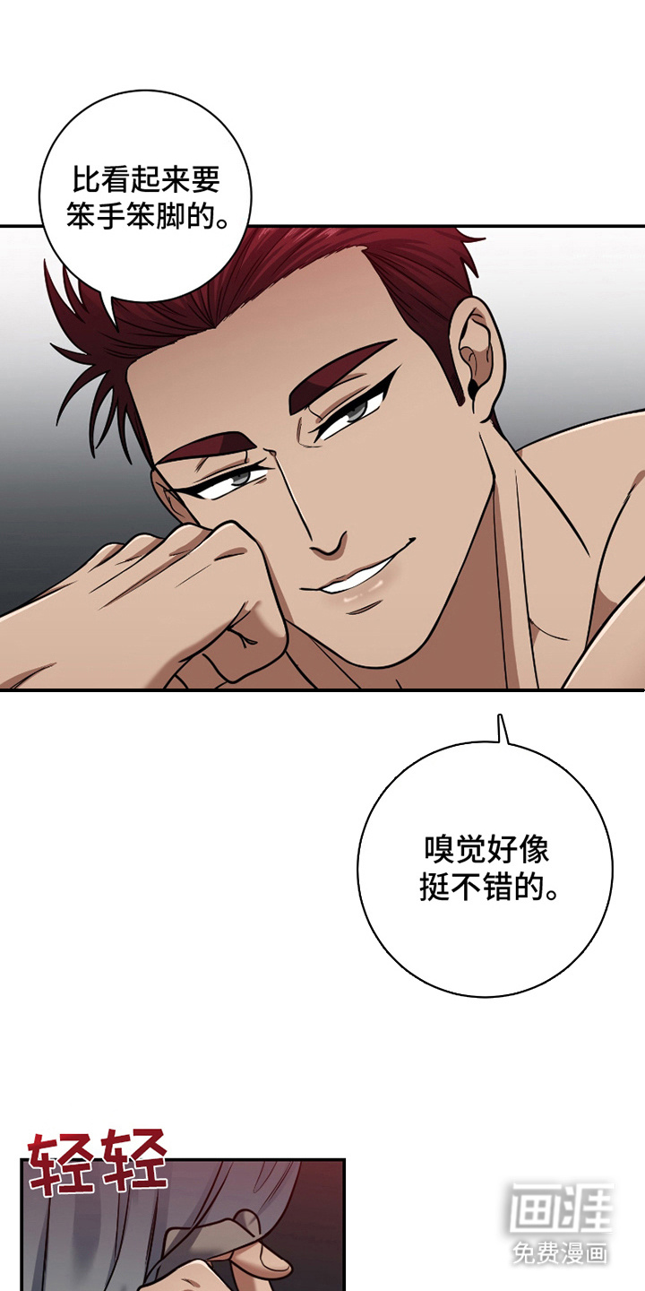 公爵的另一面第8话图