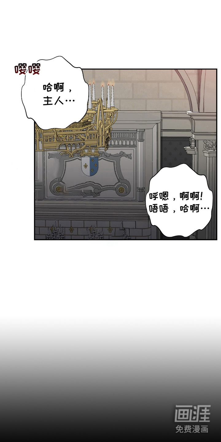 公爵的另一面第9话图