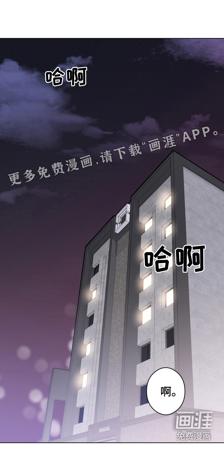 歌手负责人第19话图