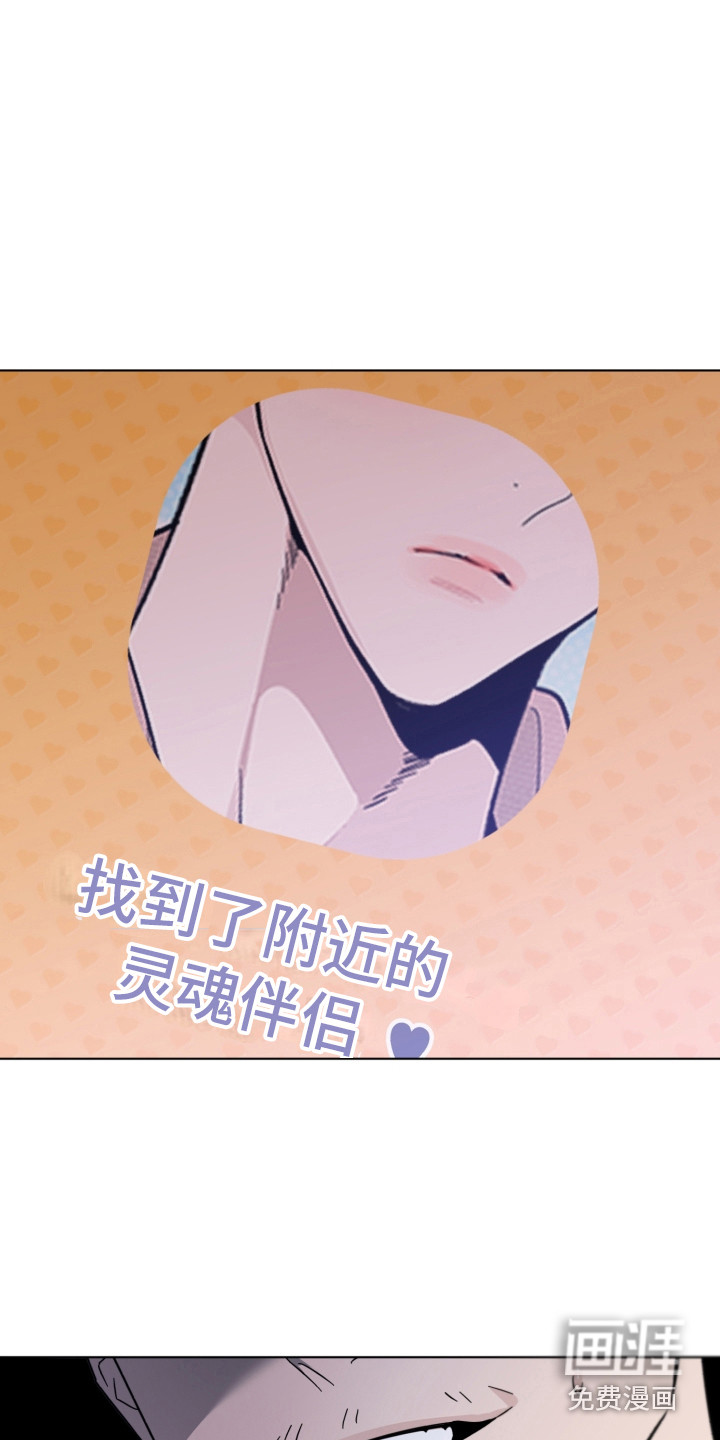 歌手负责人第19话图