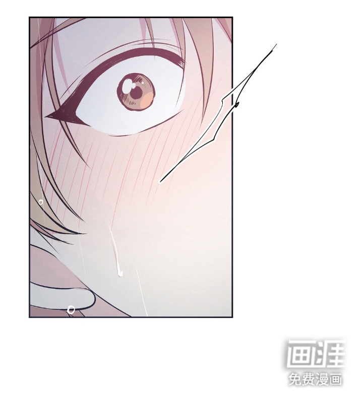 孤岛浪漫求生 第1话 第8页