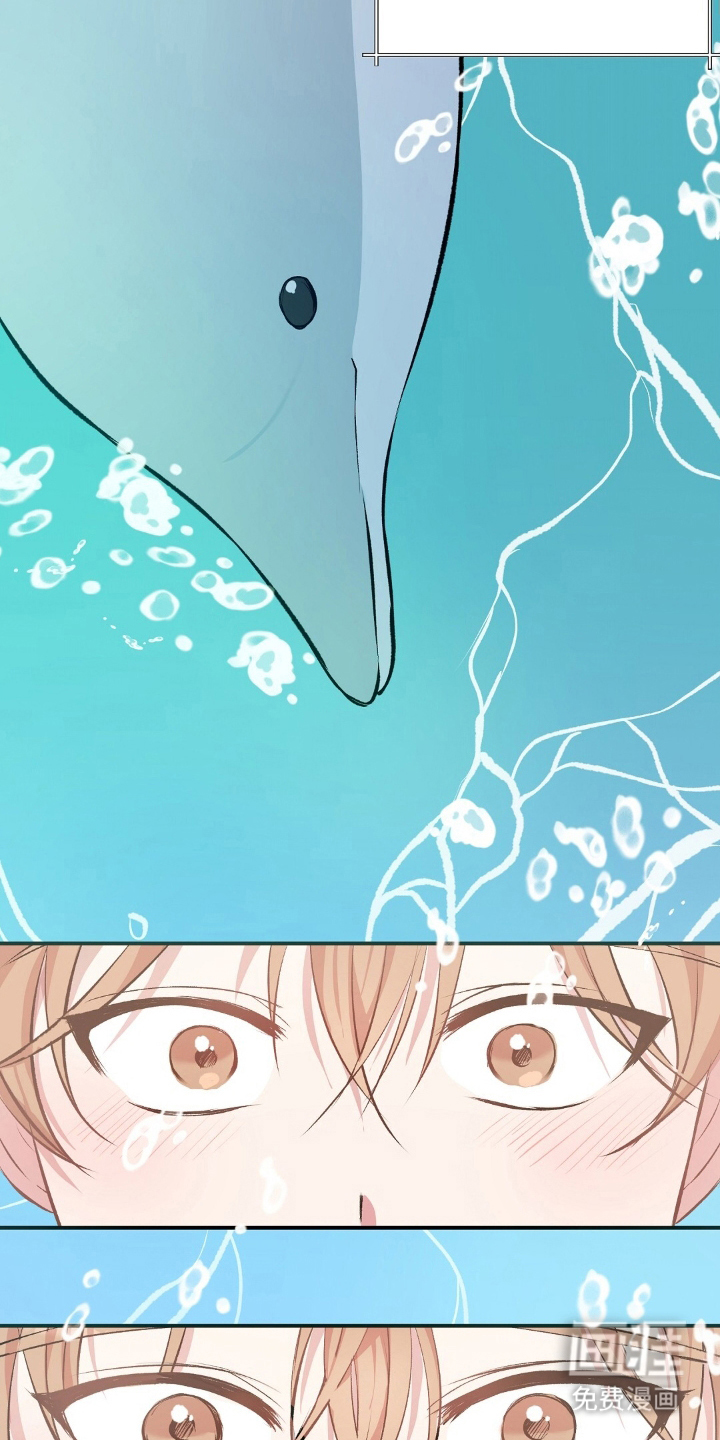 孤岛浪漫求生 第1话 第15页