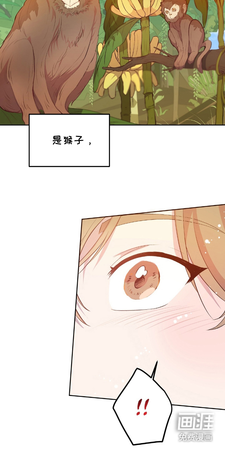 孤岛浪漫求生 第17话 第11页