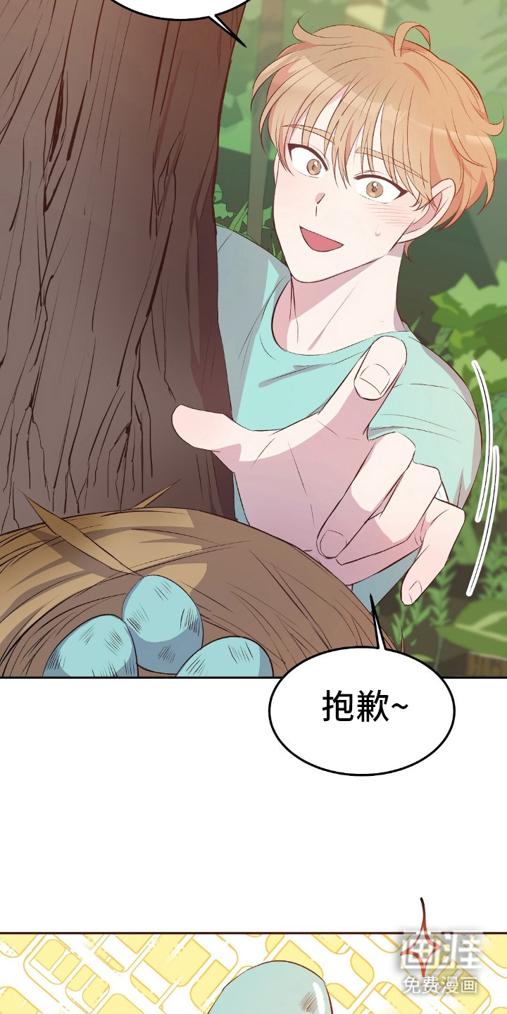 孤岛浪漫求生 第21话 第1页