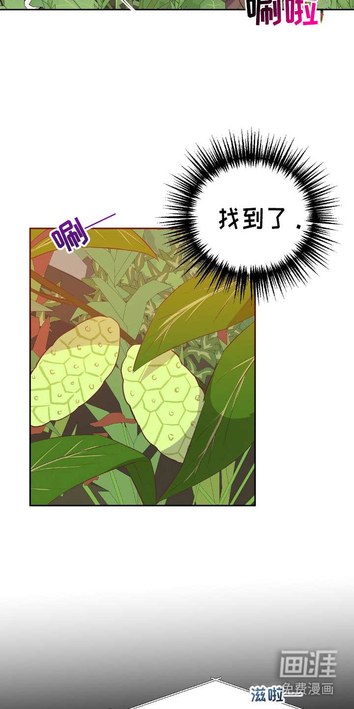 孤岛浪漫求生 第22话 第6页