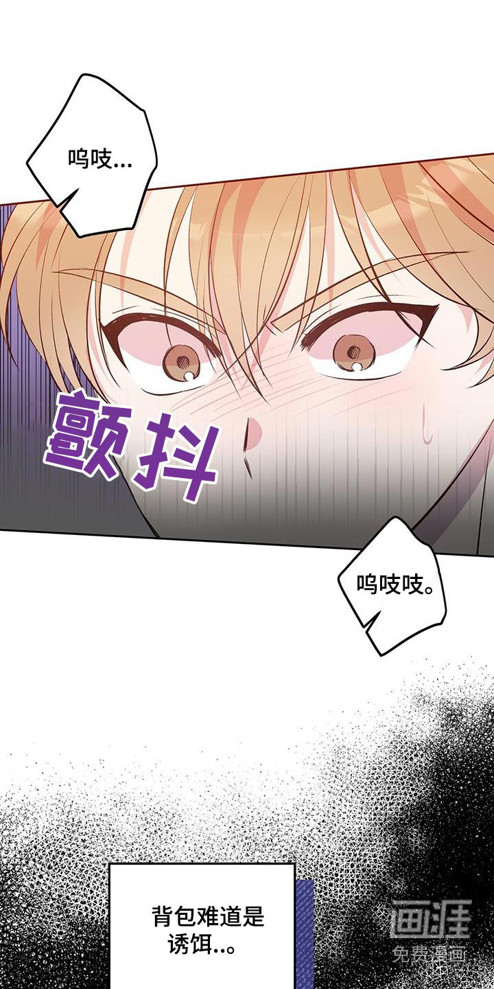 孤岛浪漫求生 第24话 第4页