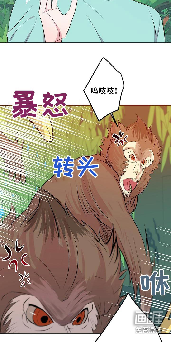 孤岛浪漫求生 第24话 第7页