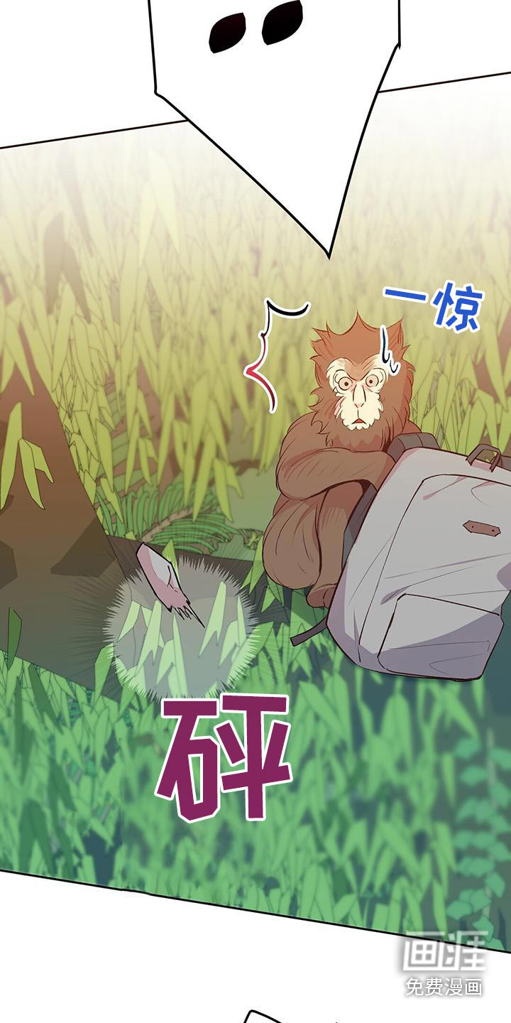 孤岛浪漫求生 第24话 第19页