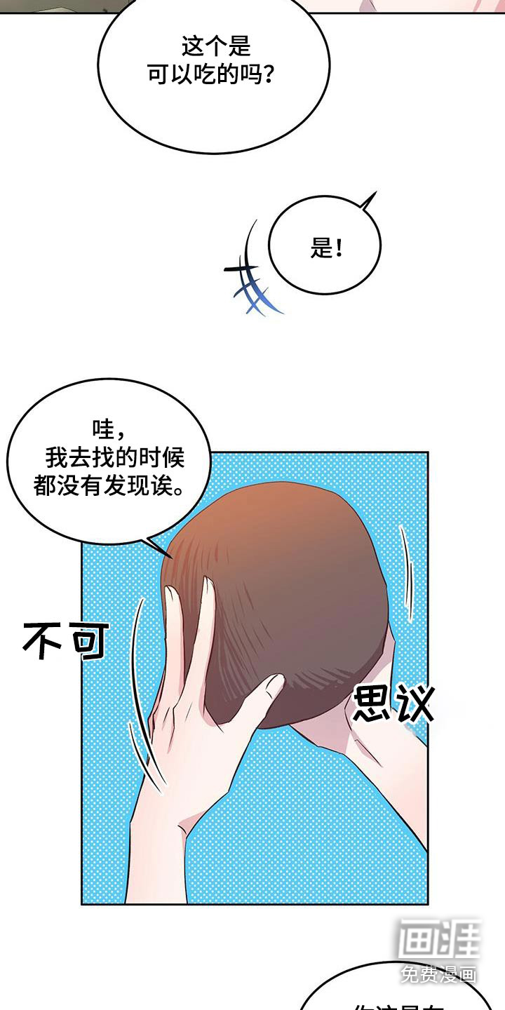 孤岛浪漫求生 第27话 第17页