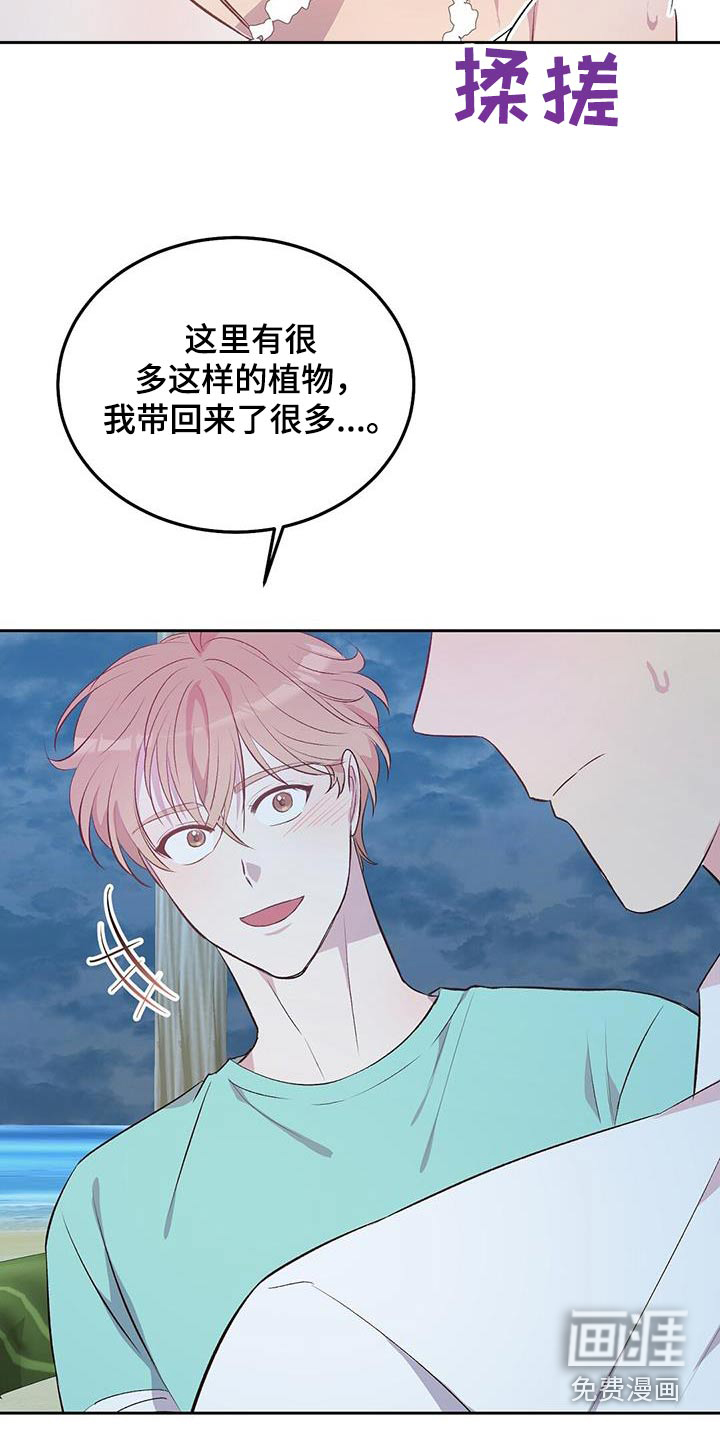 孤岛浪漫求生 第30话 第5页