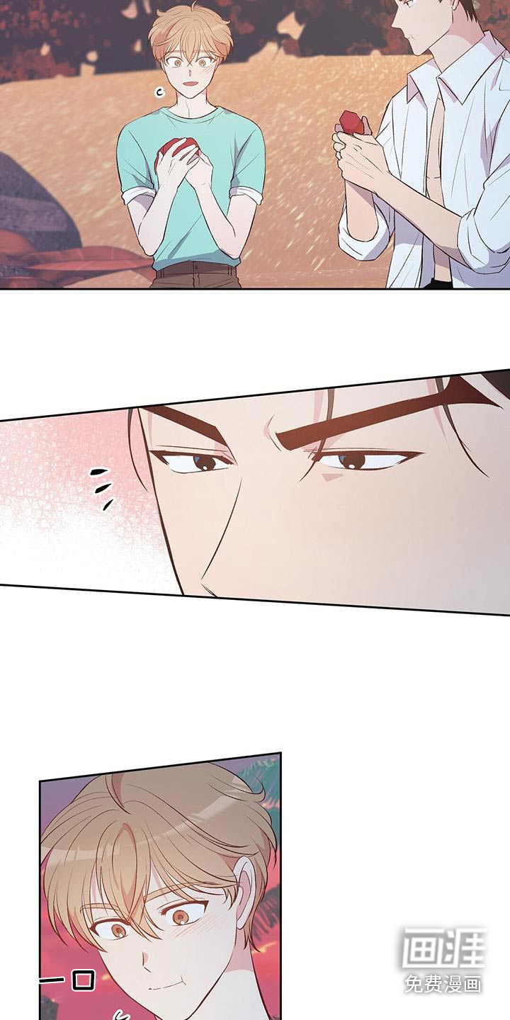 孤岛浪漫求生 第31话 第5页