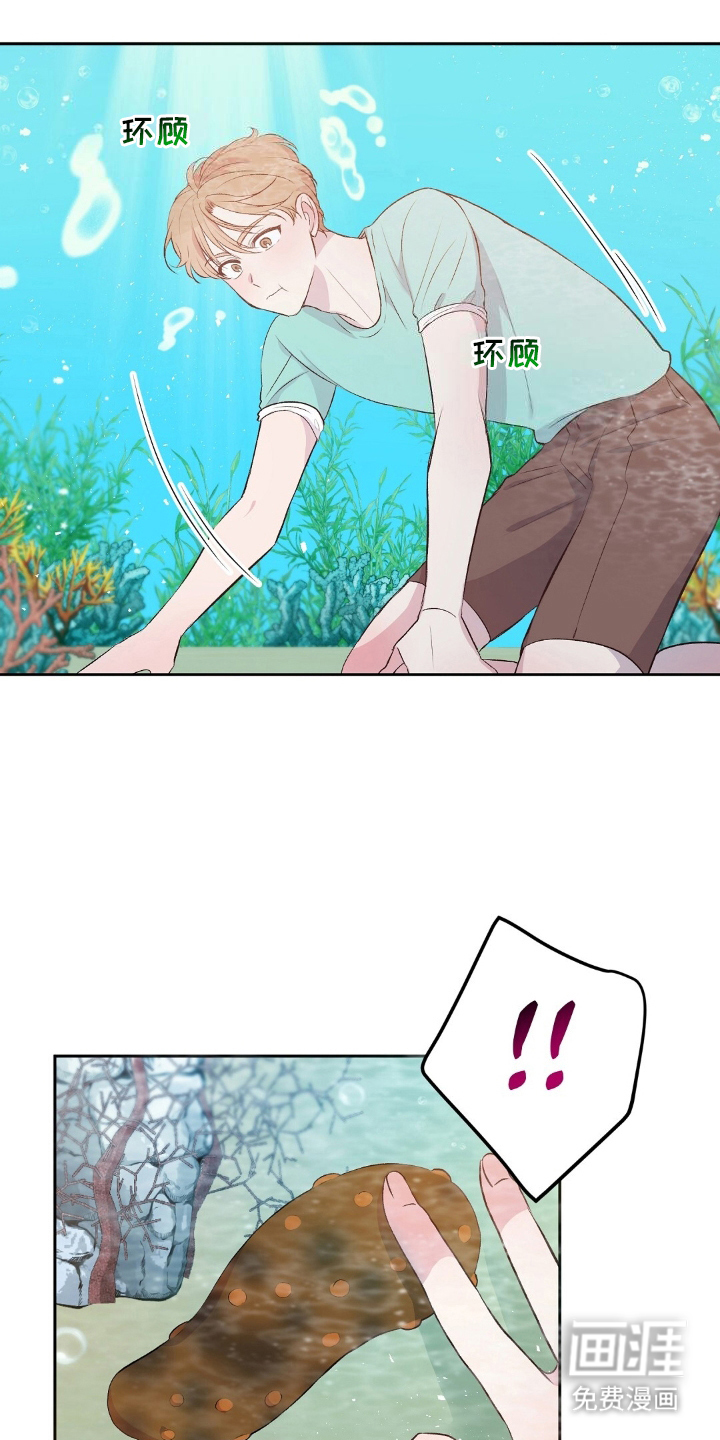 孤岛浪漫求生 第9话 第17页