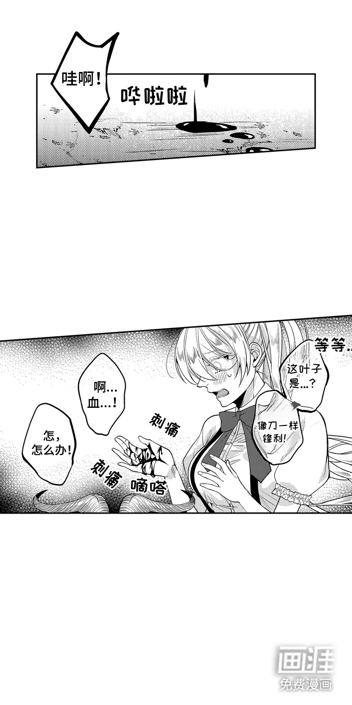 光之圣女第12话图