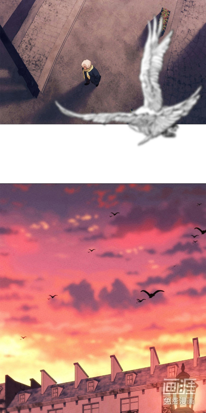 歌剧邪影第25话图