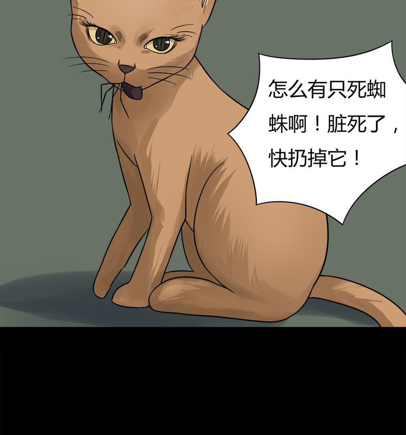 诡中有诡第43话图