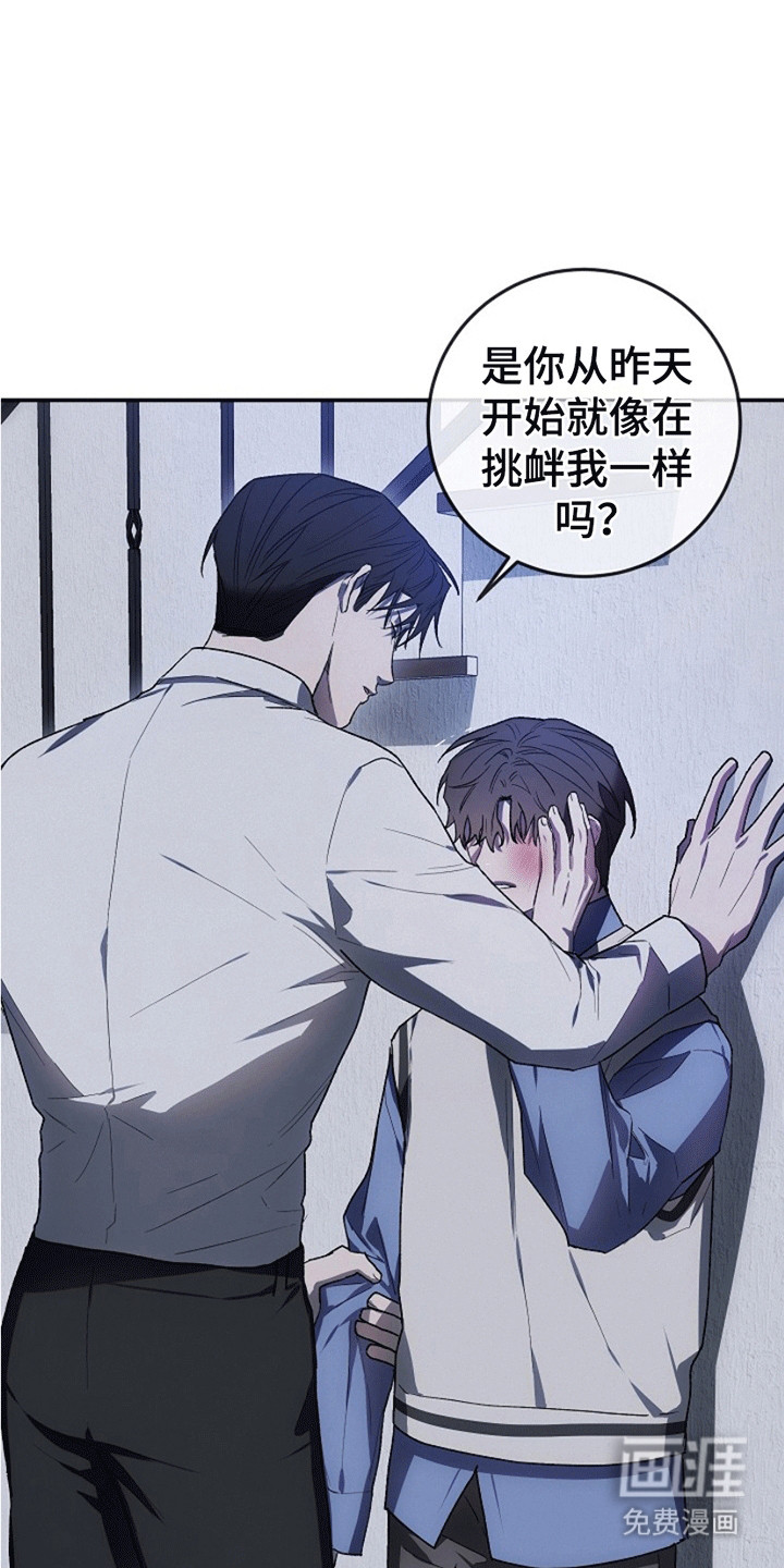 管教掌中秘宝第14话图