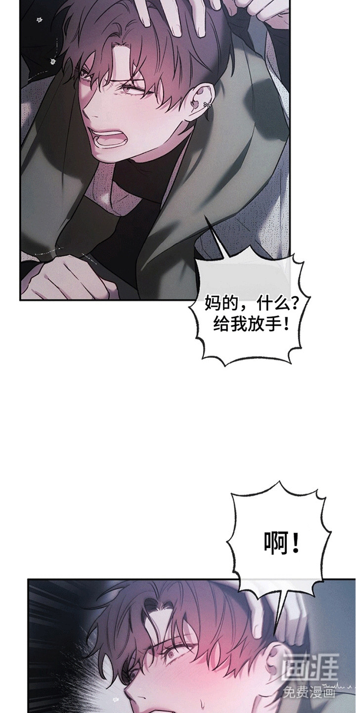 管教掌中秘宝第5话图