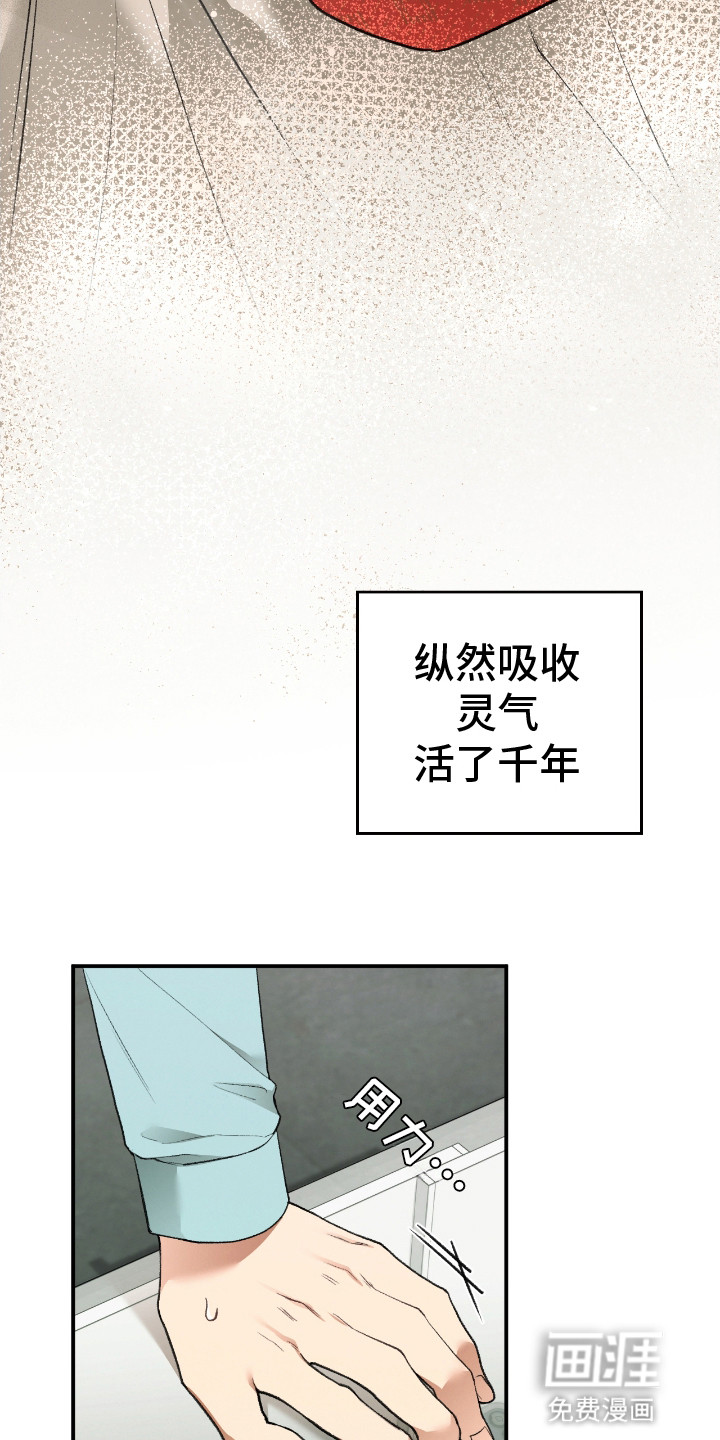 隔世契约第10话图