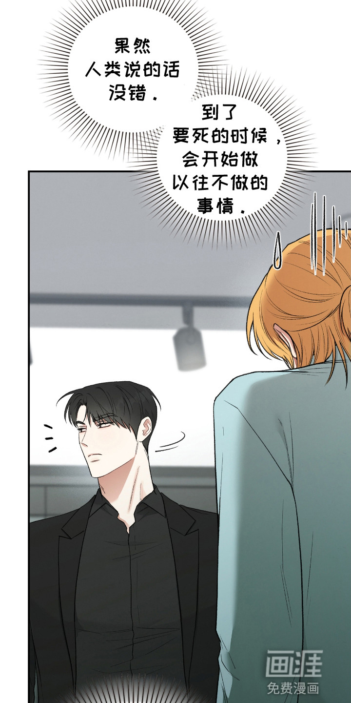 隔世契约第10话图