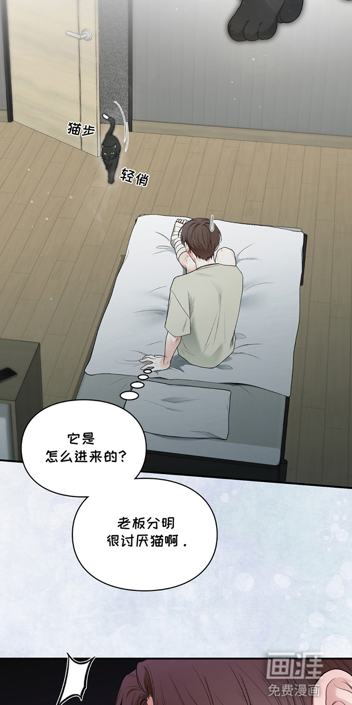 隔世契约第8话图