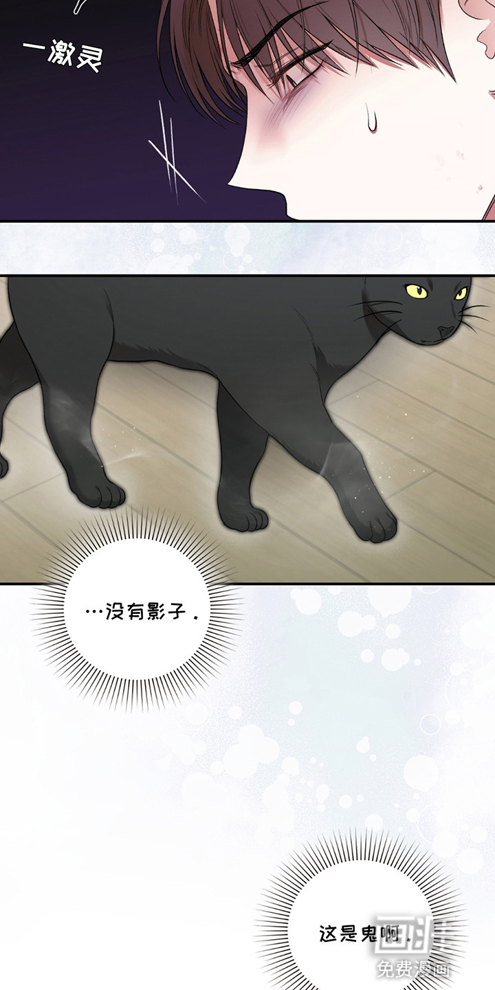 隔世契约第8话图