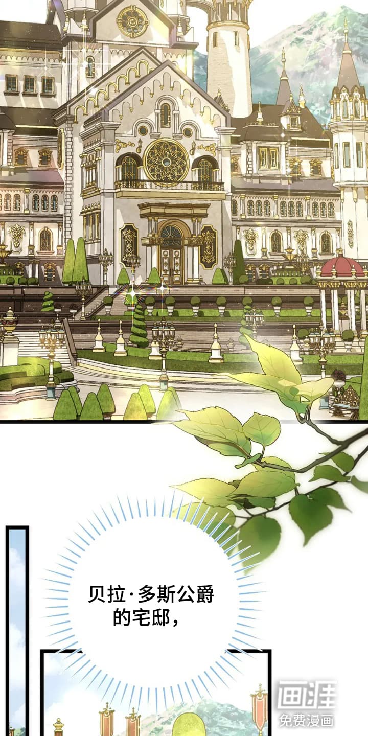 公爵的契约新娘第15话图