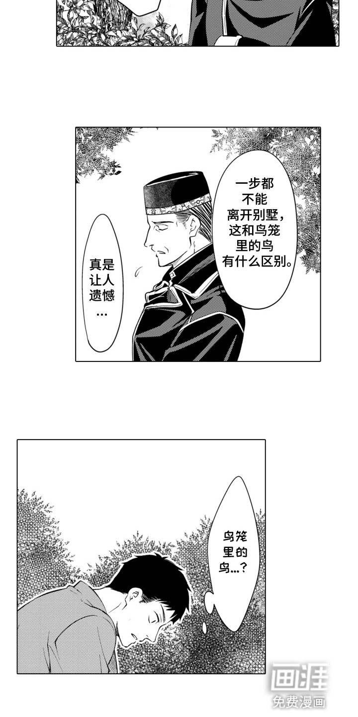 关在笼子里的金丝雀第11话图