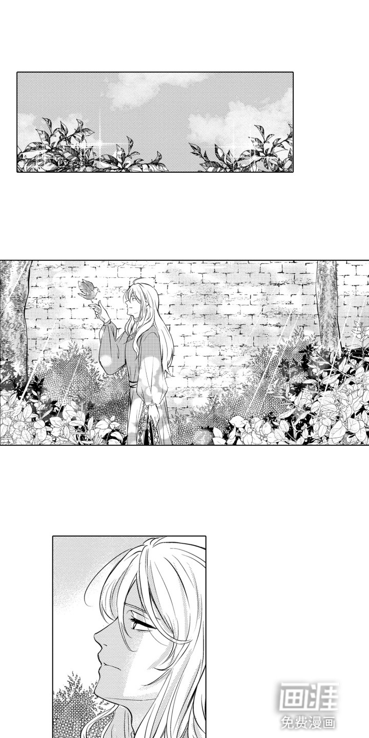 关在笼子里的金丝雀第14话图