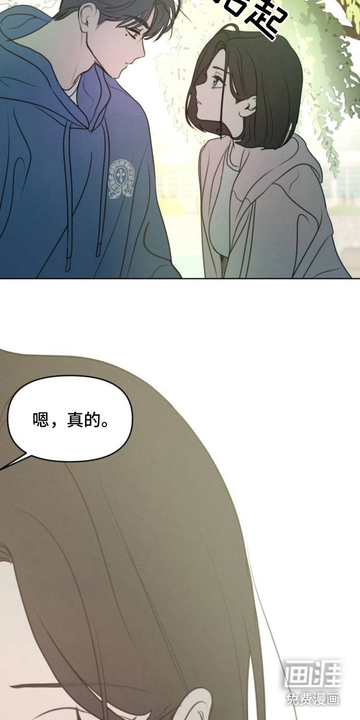甘愿受骗漫画-图14