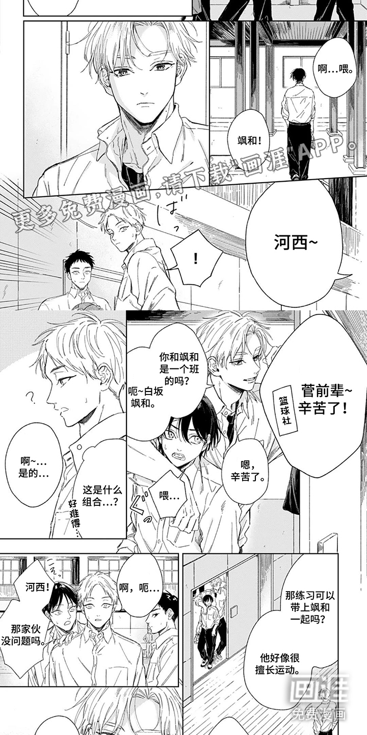 孤狼与晴空第6话图