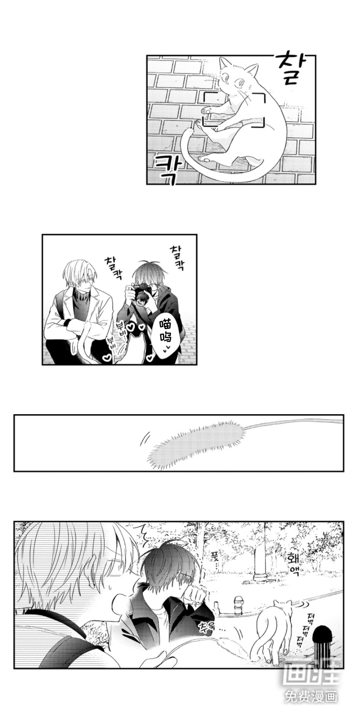 光与镜的彼方第20话图