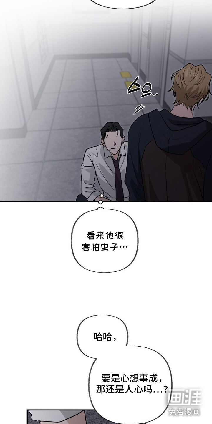 隔墙有耳漫画-图13