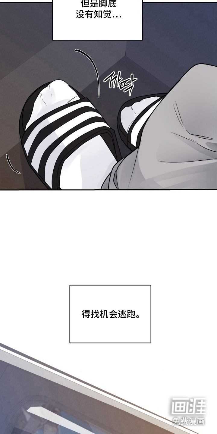 钢琴师的追击令漫画-图10