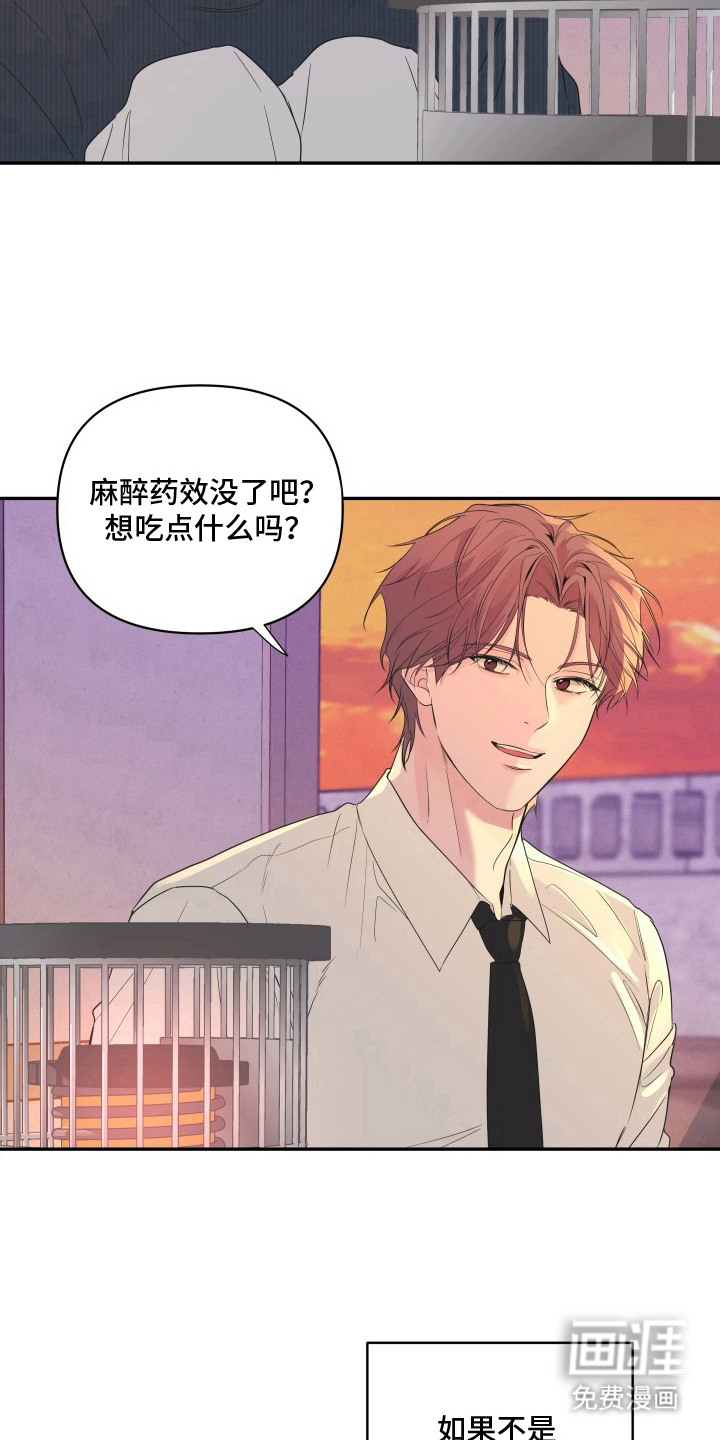 钢琴师的追击令漫画-图3