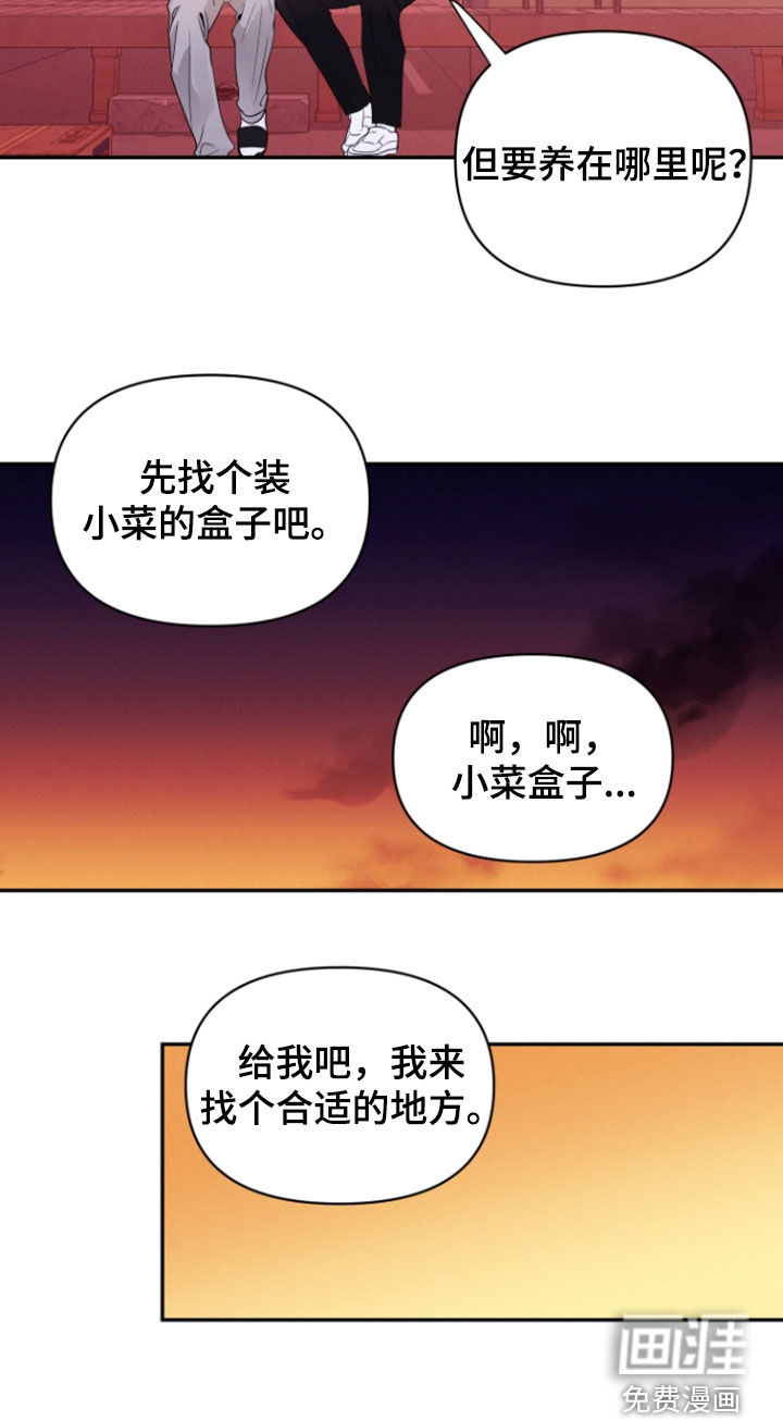 钢琴师的追击令漫画-图17