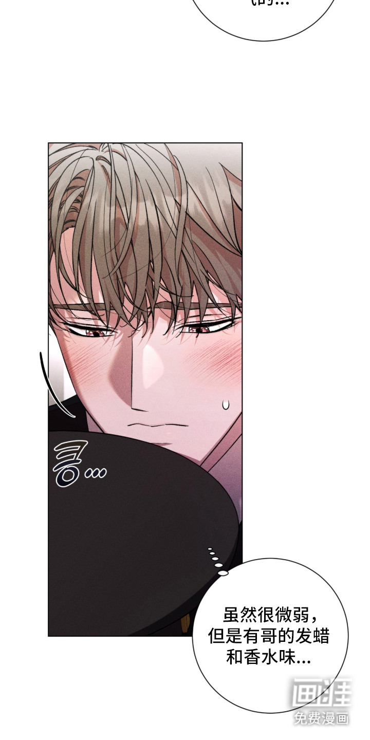 哥哥的糖果漫画-图18